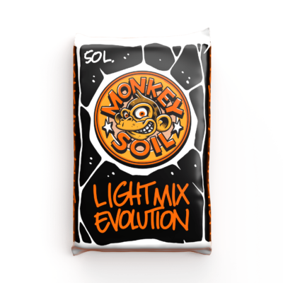 Light Mix Evolution